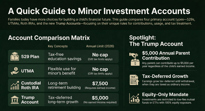 Minor Investment Vehicles Graphic 11